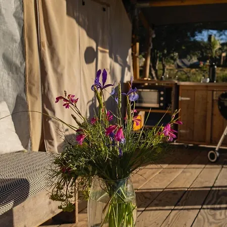 Tienda De Safari Almagro Luxury tent Montecorto